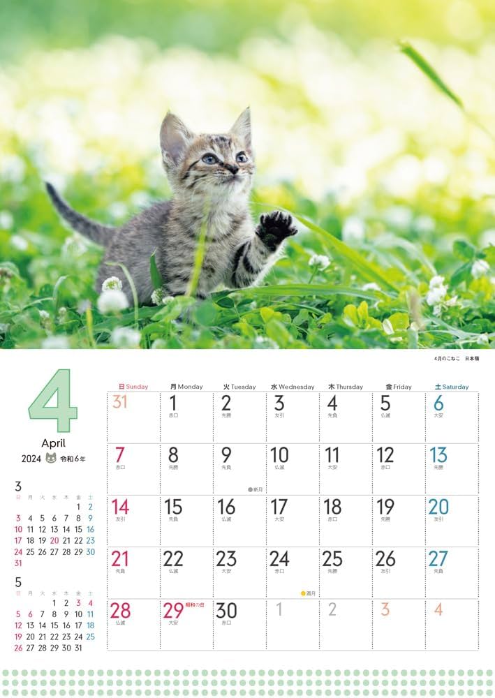 購入者限定特典付き】小さいサイズのふわふわこにゃんこ（「各月